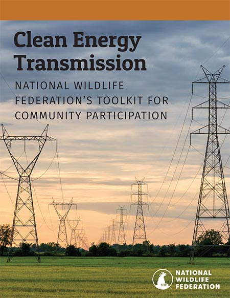 Clean Energy Transmission: NWF's Toolkit for Community Participation Report Cover