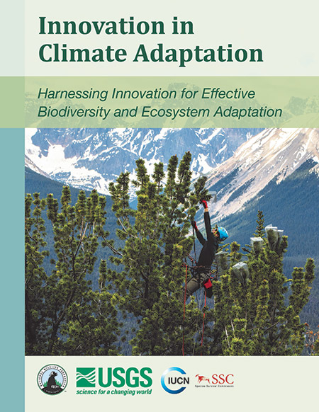 Innovation in Climate Adaptation report cover