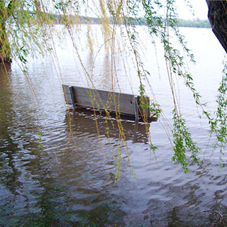 Park bench in flooded area