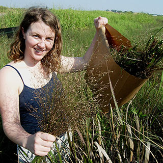 Volunteer working on Mississippi River Delta restoration project