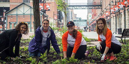 Photo of garden planting in Camden Yards