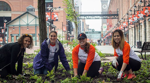 Oriole Garden planting