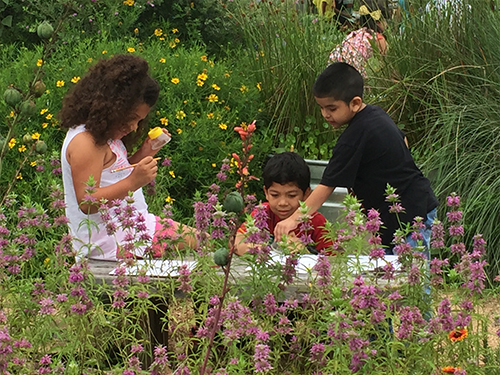 Kids in the garden