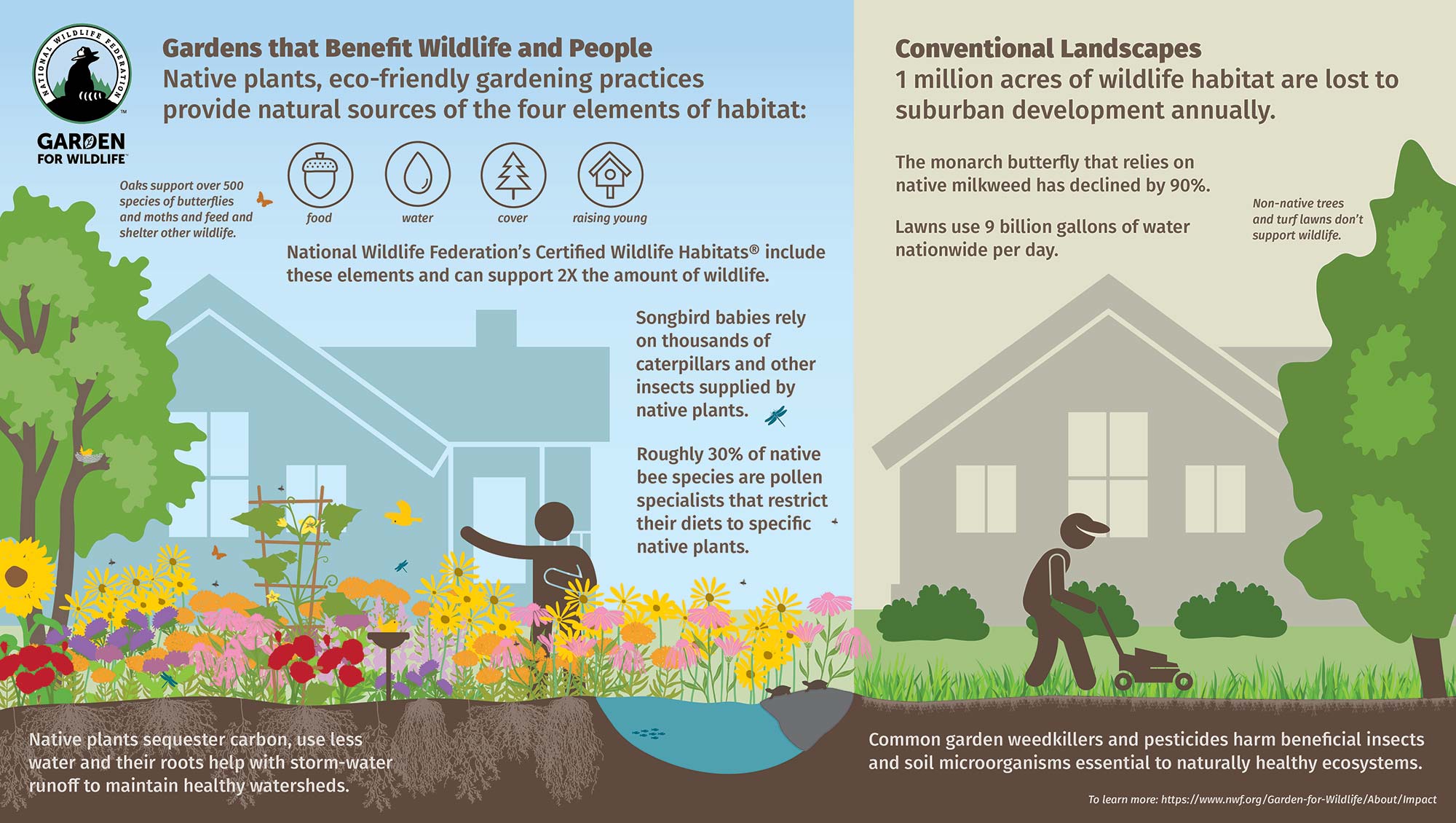 a graphic of a Garden for Wildlife versus a conventional yard