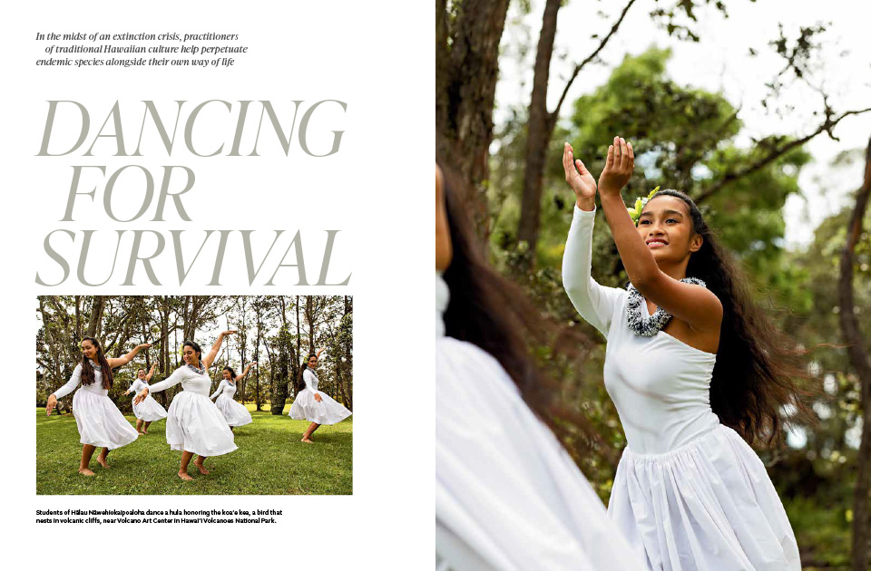 A magazine article spread containing text and images of dancers from Hālau Nāwehiokaipoaloha performing hula Koaʻe near Volcano Art Center.