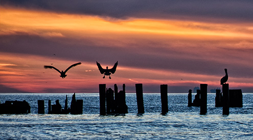 Bolivar Peninsula by Diane Binnie