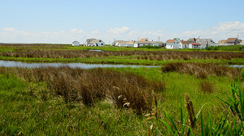 Chesapeake Bay