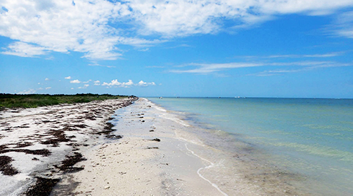 Honeymoon Island, Elizabeth Baillie