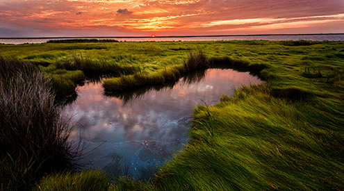 Chesapeake Bay Sunrise, Bob Miller