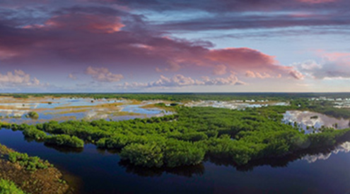 Panoramic view of the Everglades at dusk