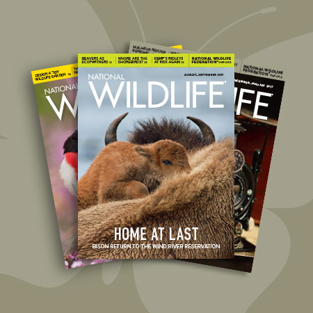 National Wildlife Magazine