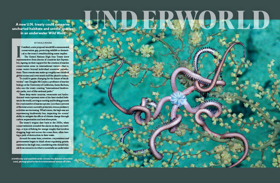 A magazine article spread containing text and an image of coral overgrown with zooanthids.