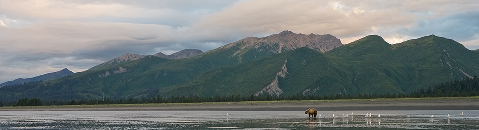 Lake clark alaska