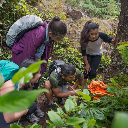 people observing plants in nature