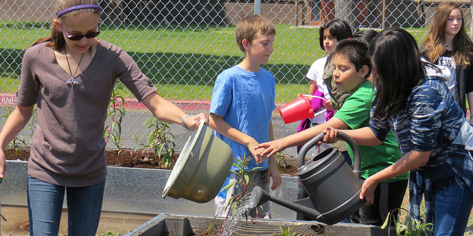 Sisters Middle School garden