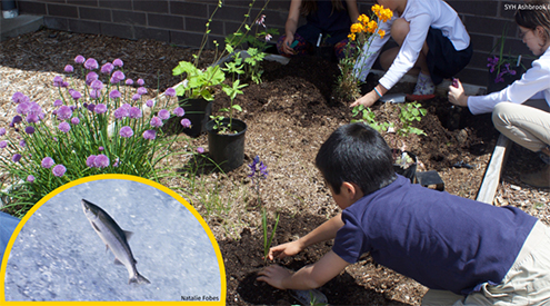 kids gardening with fish inset