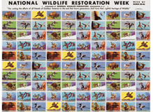 NWF Stamp Sheet