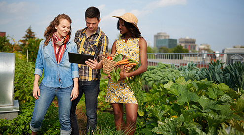 Urban Farm, Shutterstock