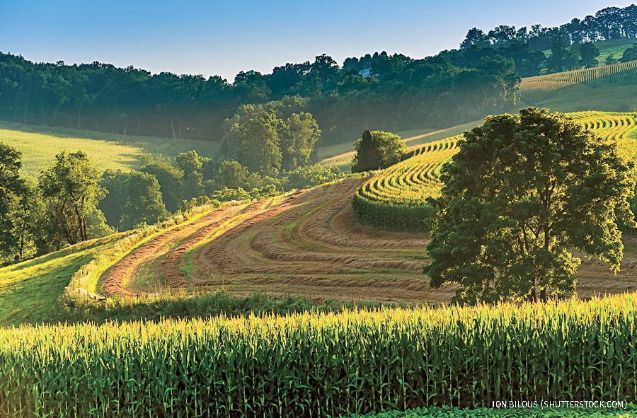 Farm fields and tree on a hillside in rural York County, Pennsylvania.