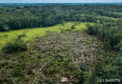 Deforestation in Colombia