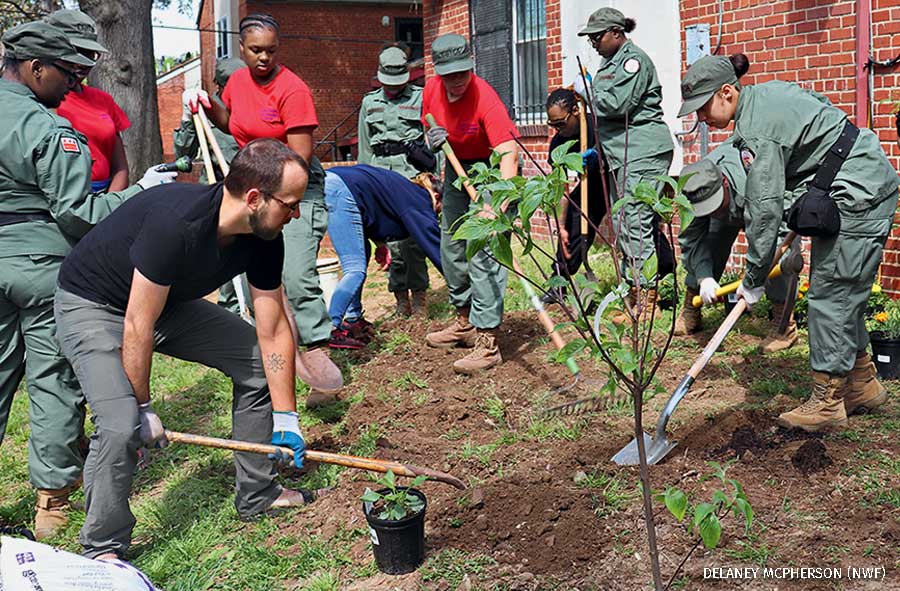 Earth Conservation Corps plants trees for earth day 