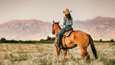 woman on horseback