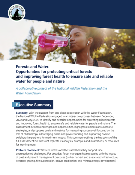 First page of report titled Forests and Water: Opportunities for protecting critical forests and improving forest health to ensure safe and reliable water for people and nature