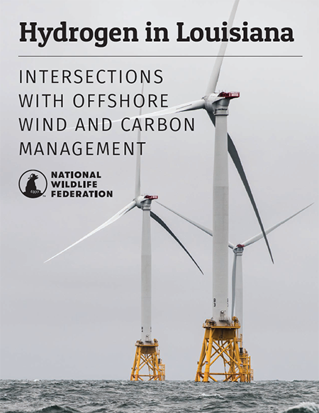 Hydrogen in Louisiana: Intersections with Offshore Wind and Carbon Management