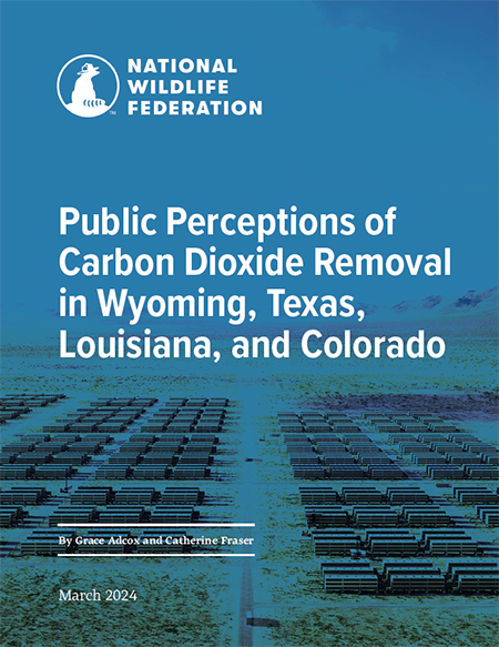 Report Cover for Public Perceptions of Carbon Dioxide Removal in Wyoming, Texas, Louisiana, and Colorado