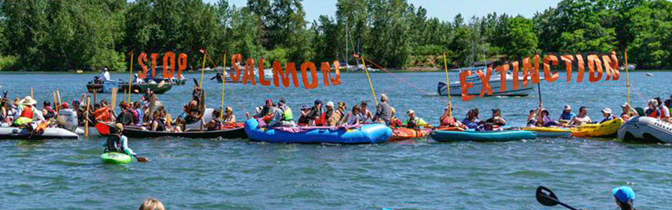 Group of boaters and kayakers on the water holding sign reading Stop Salmon Extinction