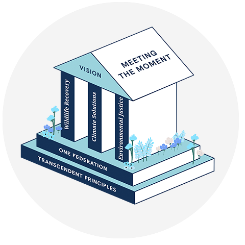 Illustration of building set upon foundation labeled One Federation and Transcendent Principles with pillars for Wildlife Recovery, Climate Solutions, and Environmental Justice and a roof labeled Vision and Meeting the Moment