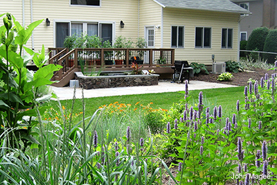 Backyard Habitat: John Magee