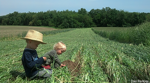 Kids by Cover Crops, Dan Perkins