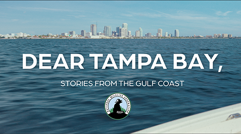 Dear Tampa Bay documentary title screen