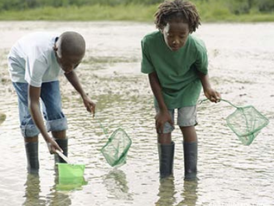 Environmental Justice Community