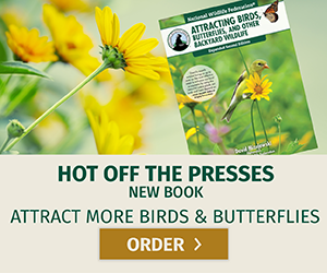 Hot off the presses! New book: attract more birds and butterflies